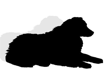 Vector silhouette of a dog.