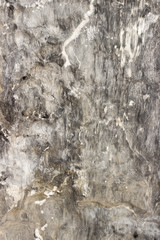 Gray granite texture