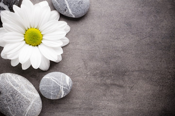 Wellness background.