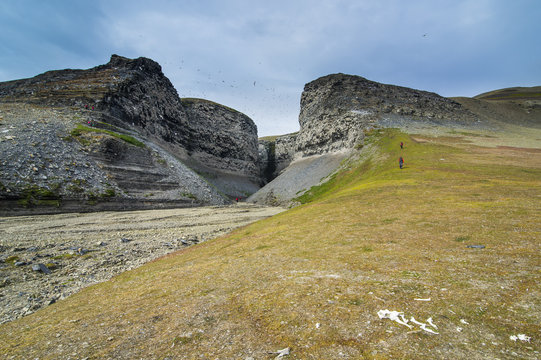 Edgeoya Images Browse 51 Stock Photos, Vectors, and Video Adobe Stock