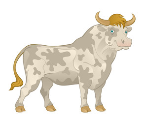 Motley bull