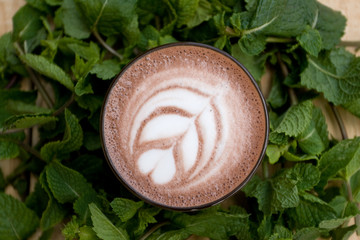 A useful and healthy mint cocoa in fragrant mint twigs.