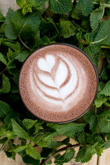 A useful and healthy mint cocoa in fragrant mint twigs.