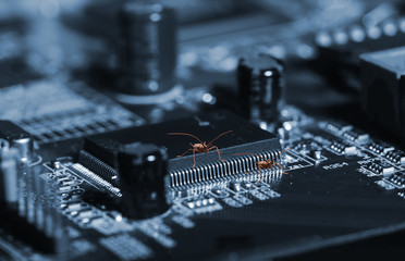 computer bugs crawling among microchips on a circuitboard - obrazy, fototapety, plakaty
