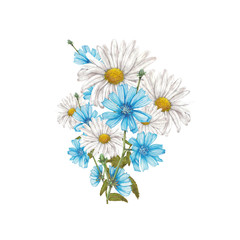 Chamomile and chicory