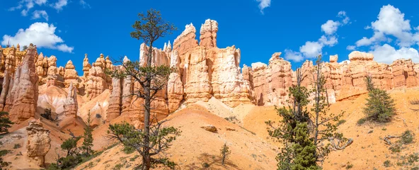 Peel and stick wall murals Canyon Bryce canyon USA