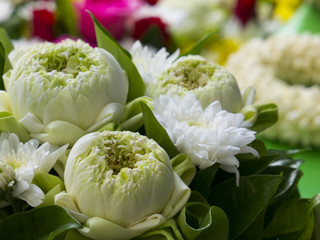 Bouquet of Lotus