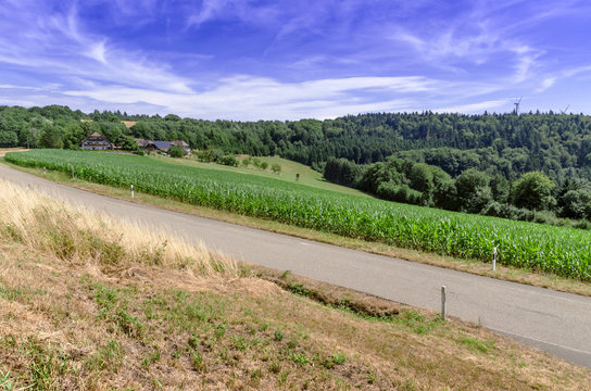 Nature. Rural roads in Germany.