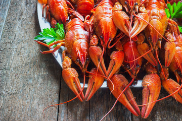 crawfish on wooden background