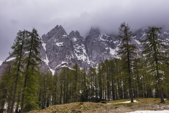 Juilan Alps, seen on the Vrsiska Cesta (road) (Vrsic Pass) near Kranjska Gora in the Triglav National Park, Slovenia