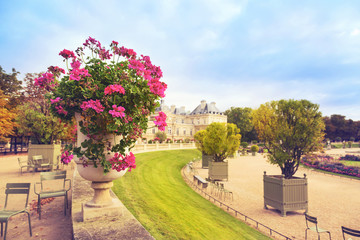 Flowers in  Luxembourg Gardens, Paris, France