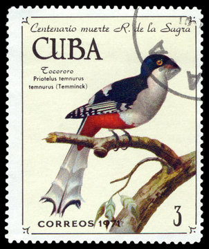 Stamp.  Bird Cuban Trogon.