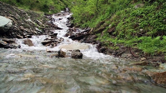 ein Gebirgsbach in einem Wald in &Ouml;sterreich