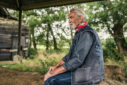Elderly bearded farmer taking a rest
