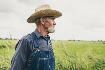 Thoughtful Senior Male Farmer with Straw Hat