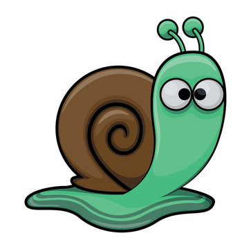Snail cartoon illustration