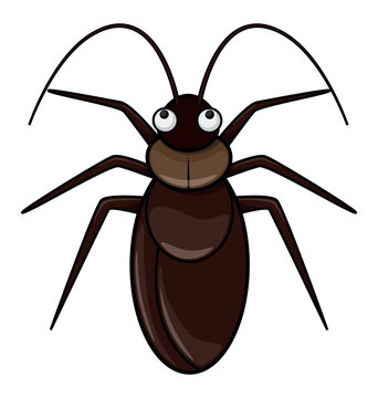 Cockroach cartoon illustration