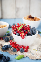 Fresh and healthy blueberries and red currant