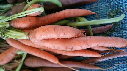 Carrots at a produce stand 