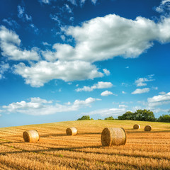 Hay in a meadow, fabulous landscapes - 88343979
