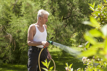 Rentner gießt seinen Garten