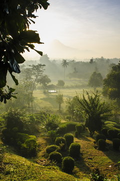 Early morning view of the countryside surrounding the temple complex of Borobodur, Java, Indonesia