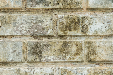 Old cement wall