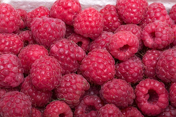 A beautiful selection of freshly picked ripe red raspberries.