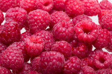 A beautiful selection of freshly picked ripe red raspberries.