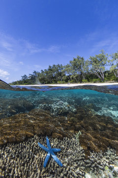 Above and below view of coral reef and sandy beach on Jaco Island, Timor Sea, East Timor