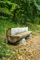 Obraz premium Tronc siège