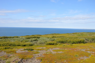 Северные пейзажи