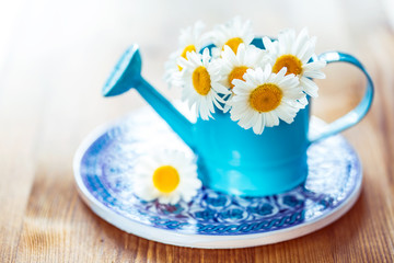  Flowers in watering can