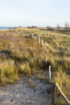 D&uuml;nenlandschaft auf dem Graswader in Heiligenhafen an der Ostsee, Deutschland