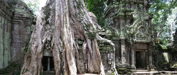 angkor wat, Cambodia