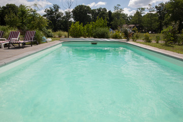 Swimming pool and lush vegetation