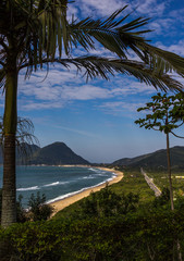 Palmeira e praia
