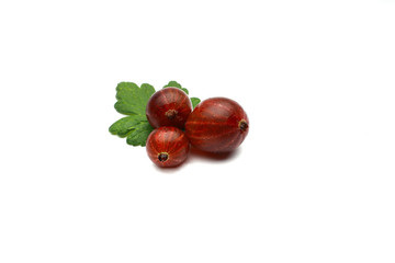 gooseberries on a white background
