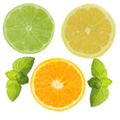 Obraz premium citrous isolated