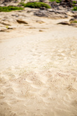desert sand