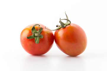 tomato isolated on white background