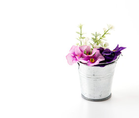 steel bucket with flower on white