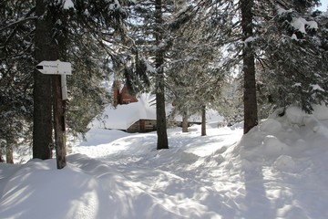Szlak