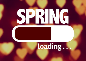 Progress Bar Loading with the text: Spring