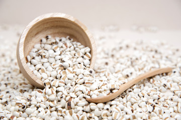 millet is useful cereal, and applied make food a variety  