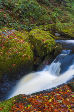 Llanrhaeadr ym Mochnant, Pistyll Rhaeadr Waterfalls, Berwyn Mountains, Powys, Wales 