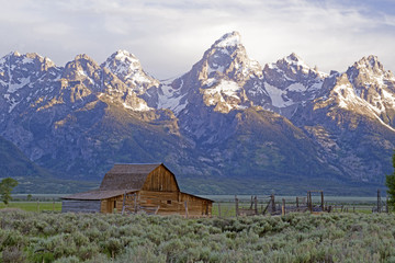 Old rustic barn icon in Grand Tetons morning light.