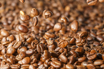 Fototapeta premium Kaffeebohnen, frisch geröstet