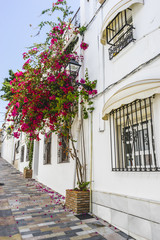 house typical of Andalusian architecture of Marbella, Spain