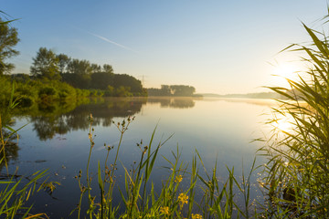 Fototapeta na wymiar The shore of a lake at sunrise in summer